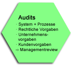 Audits