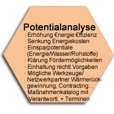 Potentialanalyse