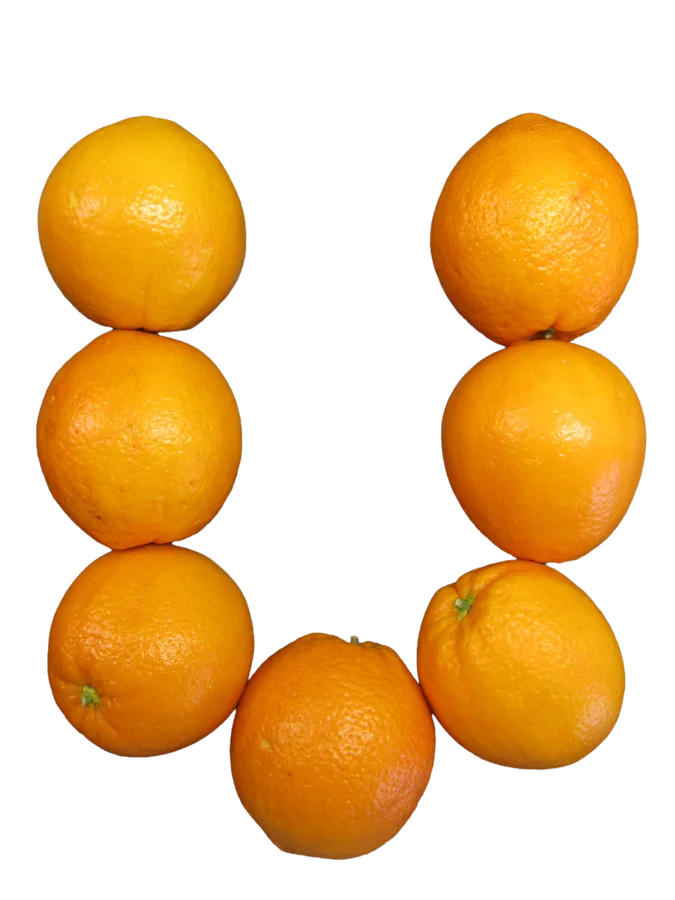 Buchstabe U aus Orangen gelegt — Umweltmanagement